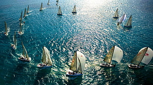 boats with sail on body of water