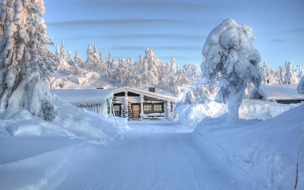 white wooden house, winter, hut, trees, snow HD wallpaper