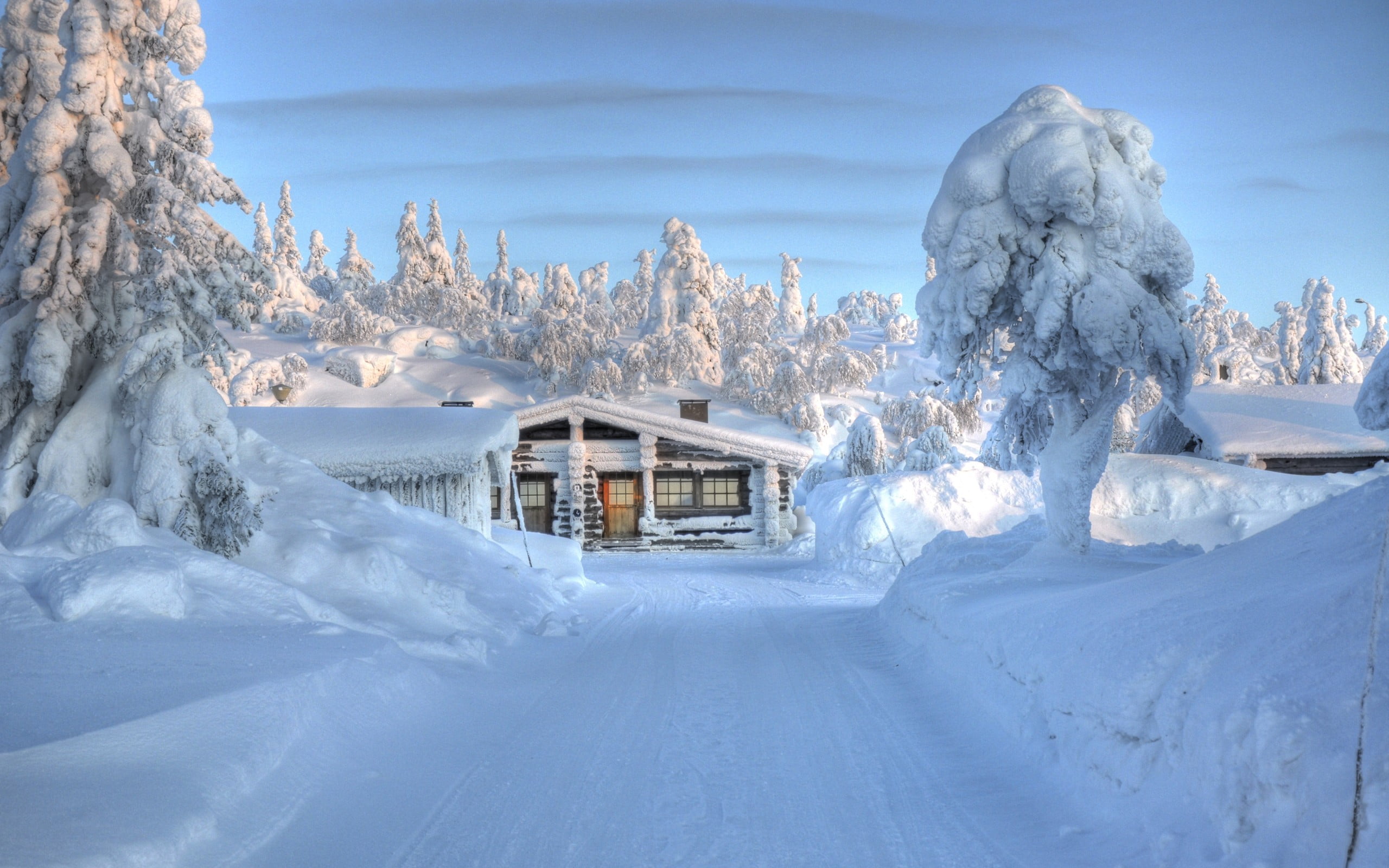 white wooden house, winter, hut, trees, snow