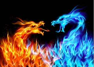 red and blue dragon flame digital wallpaper