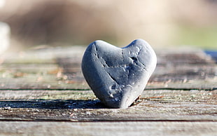 shallow focus photography of gray concrete stone