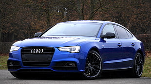 blue Audi sedan near brown leaf tall trees at daytime