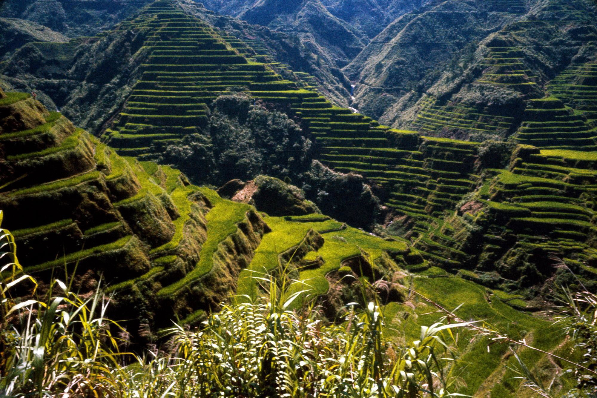 Banaue Rice Terraces, mountains