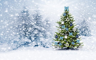 green Christmas tree, New Year, snow