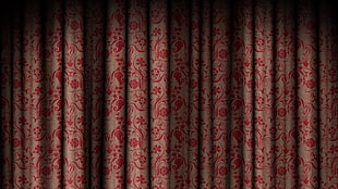 red and gray floral curtain