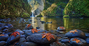 landscape photography of stones on body of water, nature, landscape, river, waterfall
