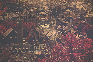 brown buildings, cityscape, sepia HD wallpaper