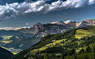 green trees, nature, landscape, Dolomites (mountains), Alps HD wallpaper