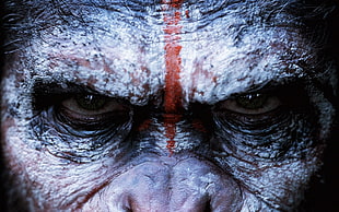 monkey face, Dawn of the Planet of the Apes, Planet of the Apes, apes, movies