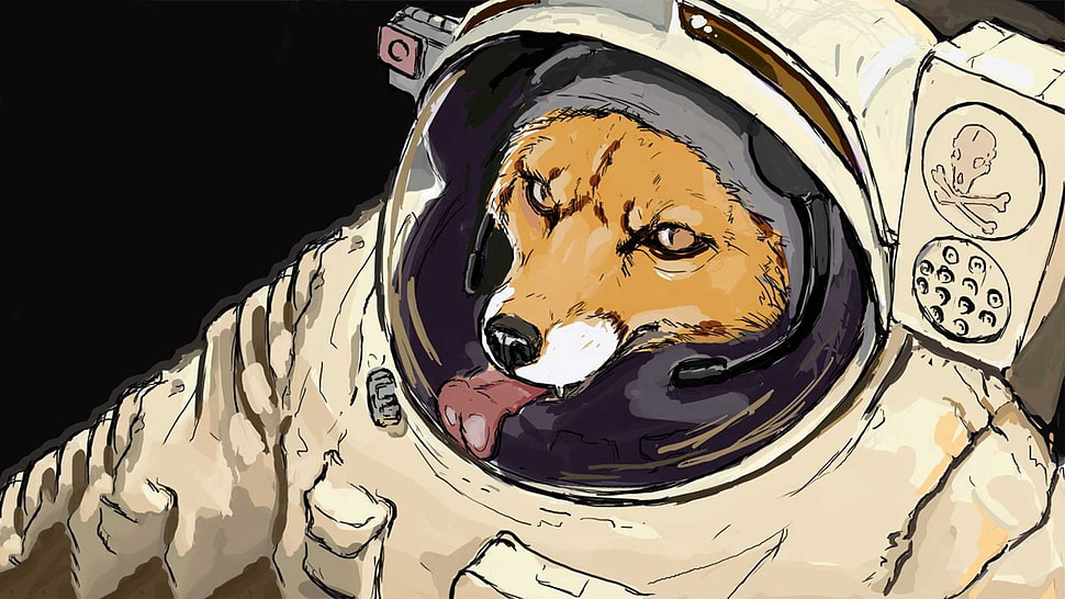 astronaut fox digital artwork, space, fox, starfox HD wallpaper