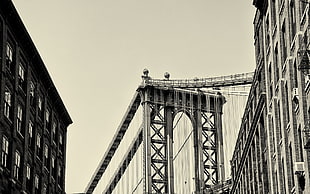Manhattan bridge greyscale photo HD wallpaper