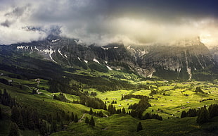 mountain view and green trees under cloudy clouds