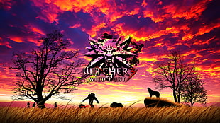 Witcher Wild Hunt wallpaper, The Witcher 3: Wild Hunt, Geralt of Rivia, sunset, wolf