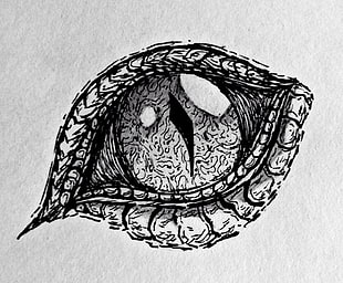 eye illustration