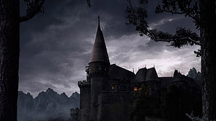 gray castle wallpaper, castle