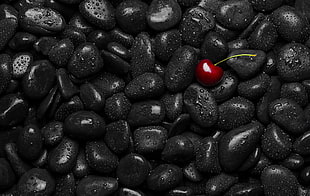 red cherry, cherries, food, fruit, water drops HD wallpaper