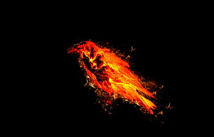 red and yellow flame bird illustration, animals, birds, fire, simple background