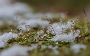 photo of water drop
