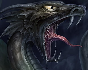 dragon's roar digital wallapper HD wallpaper