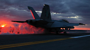 white aircraft, military, navy, United States Navy, McDonnell Douglas F/A-18 Hornet