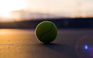 green tennis ball, depth of field, tennis balls, lens flare, sunlight HD wallpaper