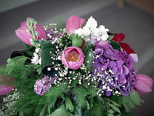 pink Tulips, purple Hydrangeas, and white Baby's breath flower bouquet HD wallpaper