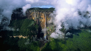 Angel Falls Waterfall in Venezuela HD wallpaper