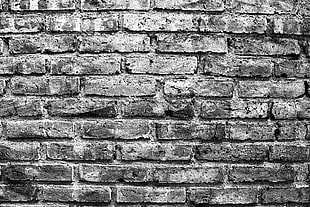 gray brick wall, wall, photography, texture, monochrome