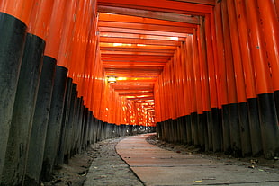 red-and-black pillars, orange, torii, path, Japan