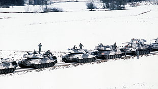 white and black battle tanks, military, tank, Germany, Bundeswehr