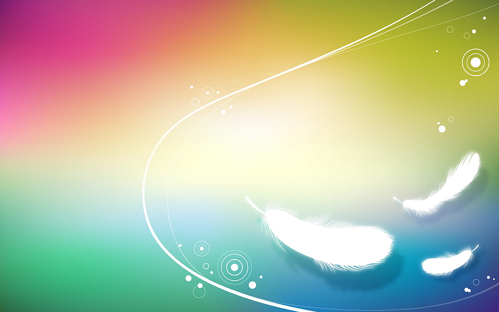 three white feathers HD wallpaper