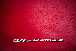 Alfa Romeo logo, car, Alfa Romeo, hood, logo