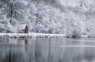 red and white cabin, water, hut, nature, winter