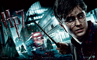 Harry Potter and the Deathly Hollows movie poster