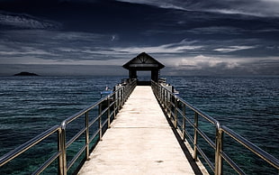 gray wooden dock with stainless steel handrail, pier