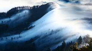 mountain covered with fog, landscape, nature