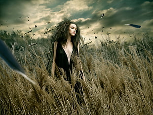 woman wearing black sleeveless dress in grasses photo