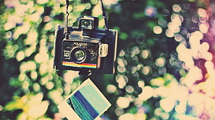 Camera,  Polaroid camera,  Picture