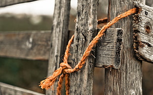 selective focus photography of brown rope tied on wood
