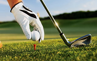 gray golf club, golf, sports, sport , gloves