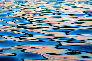 closeup photography of water