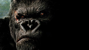 black gorilla 3D wallpaper, King Kong
