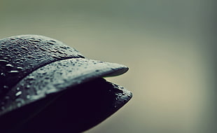 closeup photography of water drops on black baseball cap