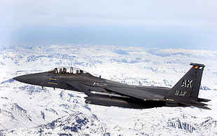 black jet fighter plane, airplane, military aircraft, F15 Eagle