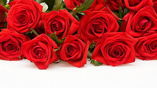 red Rose flower decoration