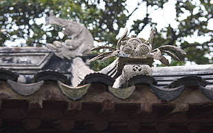 close up photo of gray roof decor