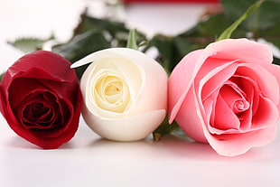 red, white, and pink roses table decor