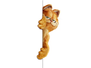 Garfield cat HD wallpaper