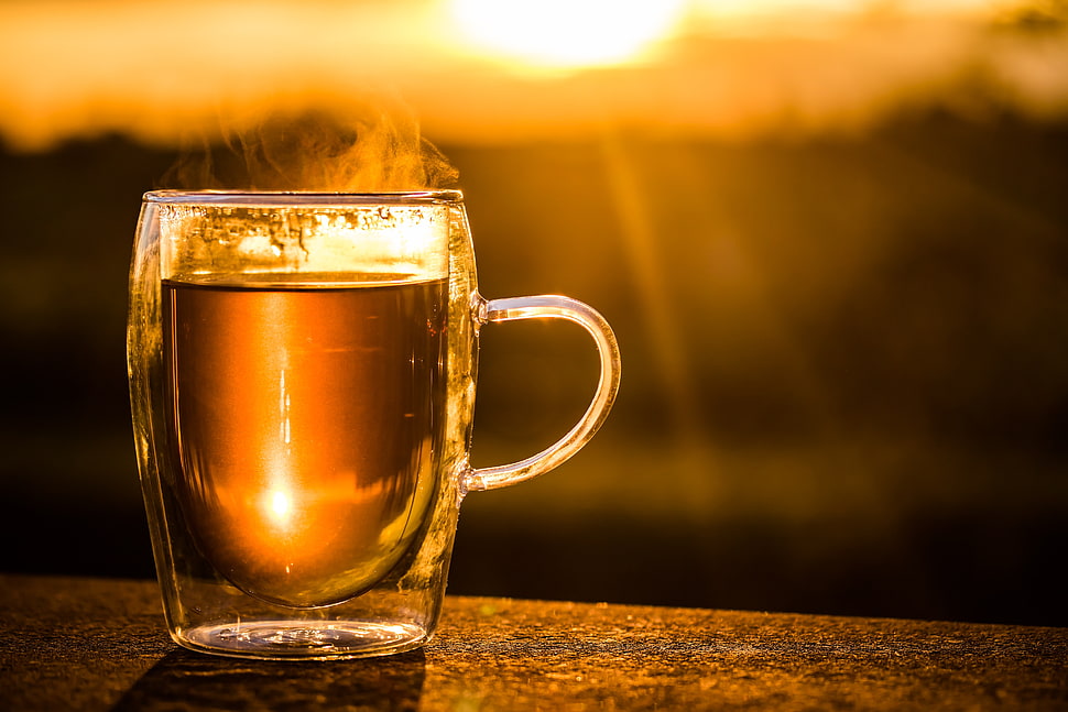 clear glass mug filled with tea during golden hour HD wallpaper