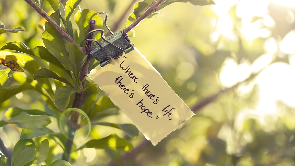 Where there's life there's hope text HD wallpaper